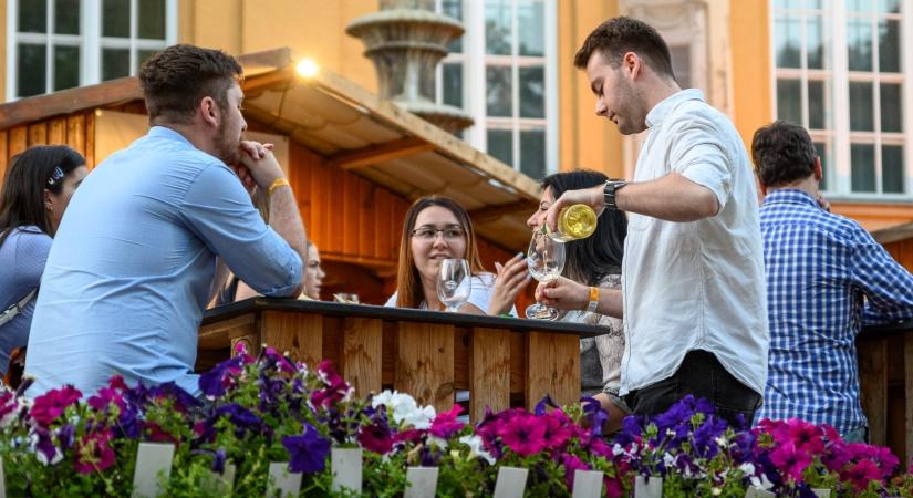 Újra megrendezik a belvárosi borünnepet Debrecenben