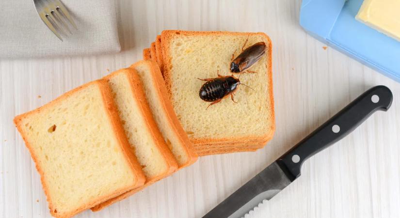Horror a budafoki menzán - ez gyomorforgatóan undorító, kiborultak a szülők