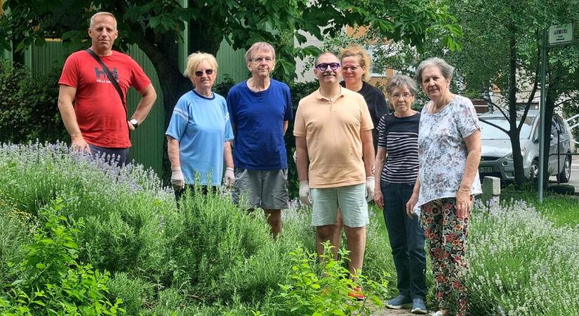 Közös erővel varázsolták újjá a kecskeméti Érzékelések kertjét  fotók