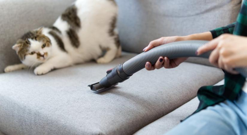 Így szabadíthatod meg az otthonodat a portól és az allergénektől hosszú hetekre