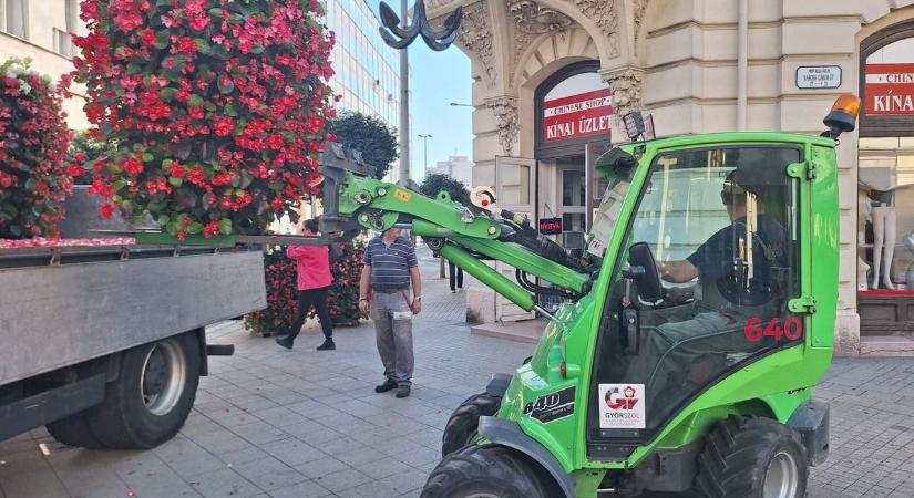 Megérkeztek a szépséges virágoszlopok a győri belvárosba