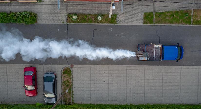 Értesítés földi szúnyoggyérítésről