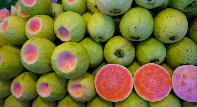 A guava: a trópusi gyümölcs, amely segíthet a vérszegénység megelőzésében