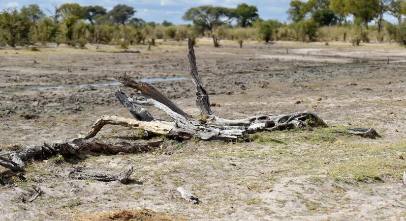 Brutális hőségre és extrém szárazságra figyelmeztet az ENSZ az El Niño miatt