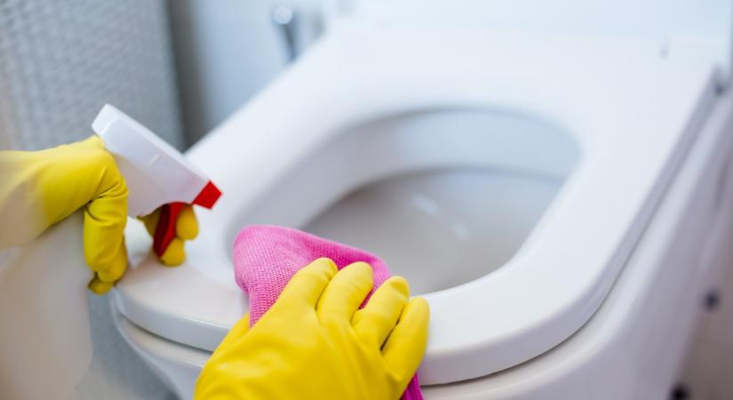 Nem hittünk a szemünknek! Ezt öntöttük bele a WC-be: majd eldobtuk az agyunkat attól, ami történt