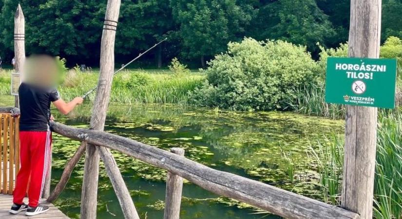 Orvhorgász horga sebesíthetett meg egy kutyát a veszprémi csónakázótónál