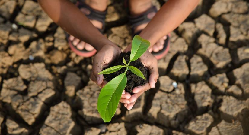 El Niño: a világ már készül, Zalában is figyelik a jeleket