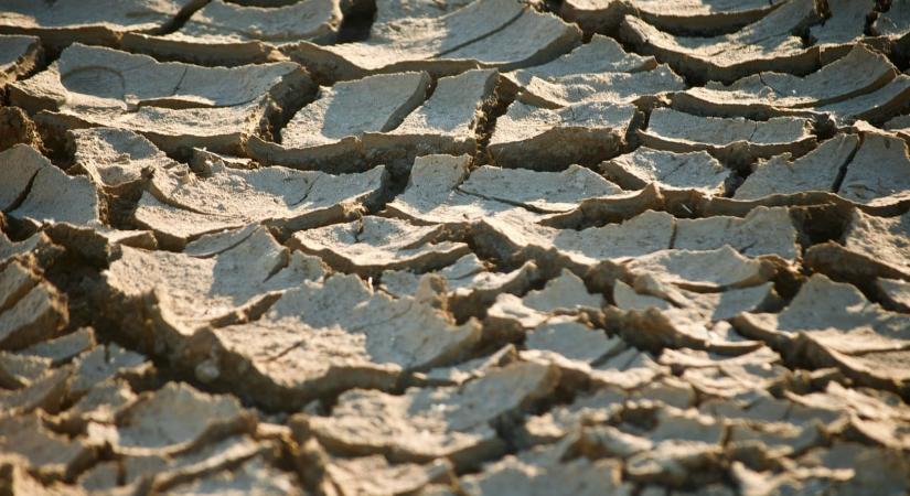 Riasztó vészjelzést adtak ki: az El Niño pokoli nyarat hozhat, pusztító hőhullámokkal és szélsőséges időjárással érkezik