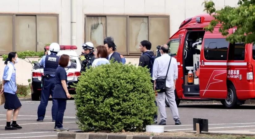 Japán acélmű területén is támadt egy medve, összesen négyen sérültek meg