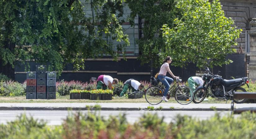 Fideszes és óellenzéki politikusokat is elvittek a rendőrök a parkfenntartási ügy miatt