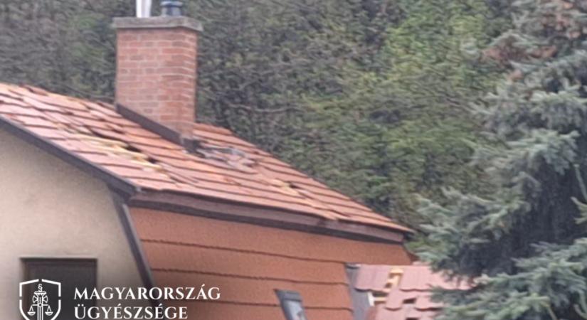 Megőrült egy magyar férfi, az „Érdi Pókember” – Felfoghatatlan és érthetetlen amit tett