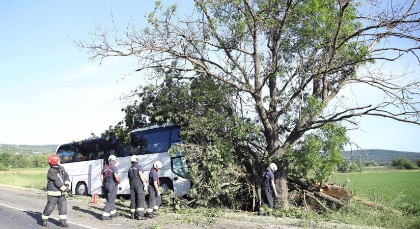 Tragikus buszbaleset – romba dőlt életek, soha nem gyógyuló lelki sérülések