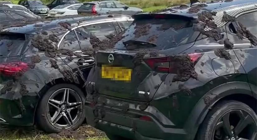 Ezt megkapták: bűzölgő trágyával locsolták le a pofátlanul parkoló autókat