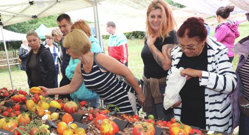 Egy nagy paradicsommá változik megint a település
