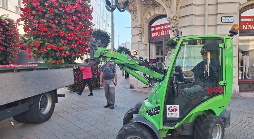 Megérkeztek a virágoszlopok a belvárosba