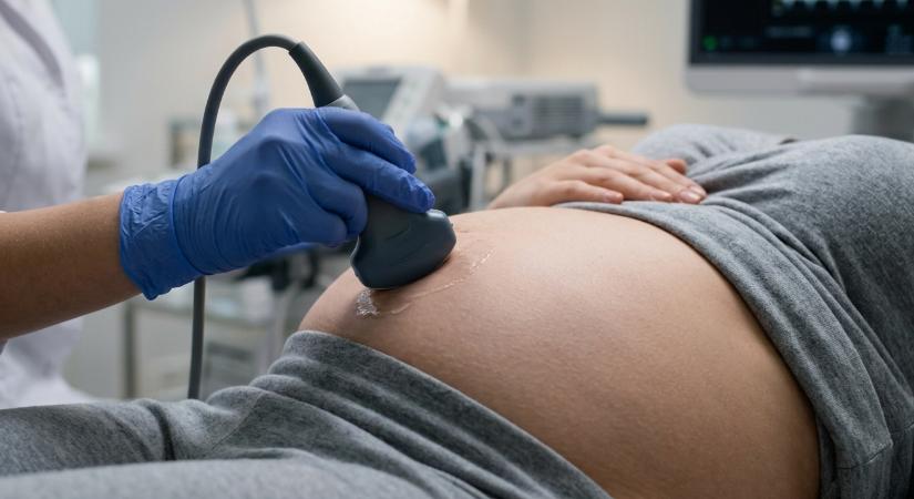 Tovább gyűrűzik a szívhangrendelet kötüli vita