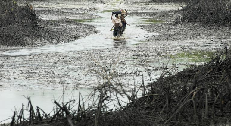 A Shell éveken át tudott a nigériai olajszennyezésről, mégis pumpálta a nyersolajat