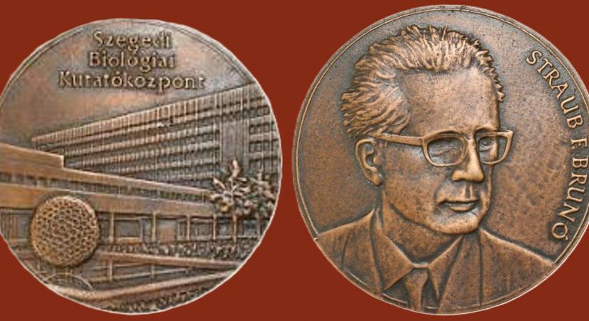 Elismerés a daganatsejtek kommunikációját feltáró kutatásnak