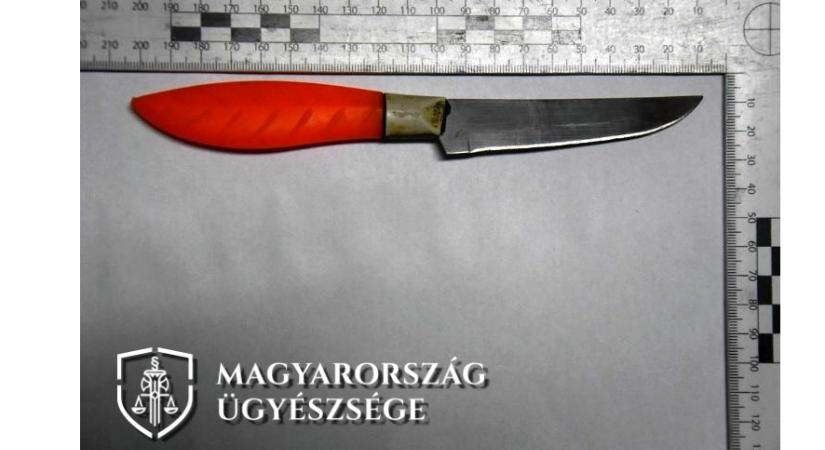 Letartóztatásban az öléssel fenyegetőző fiatal nő