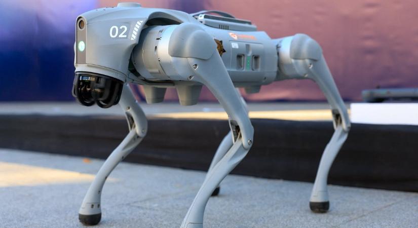A focivilágbajnokságot biztonsági robotkutyák fogják ellenőrizni