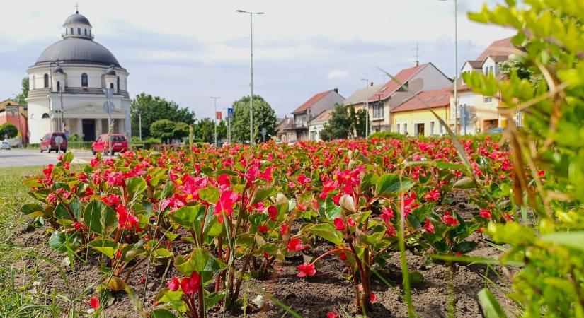 Virágba borult Esztergom, képeken az ezer színben tündöklő királyiváros