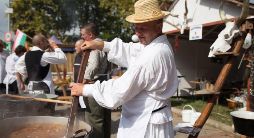 Pályázatot írtak ki a Szolnoki Gulyásfesztivál megszervezésére