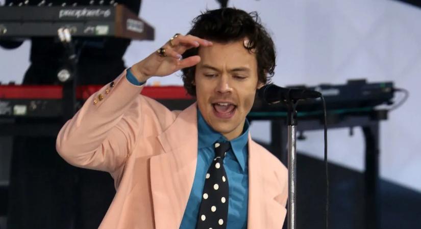 Harry Styles koncertjén kérte meg barátnője kezét a férfi - Különleges pillanatot teremtett hozzá az énekes