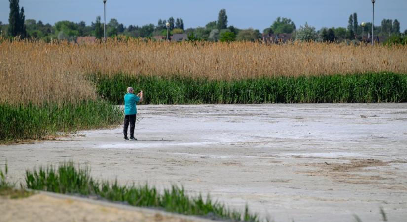 Törvényt alkot a Velencei-tó megmentésére a Tisza-kormány