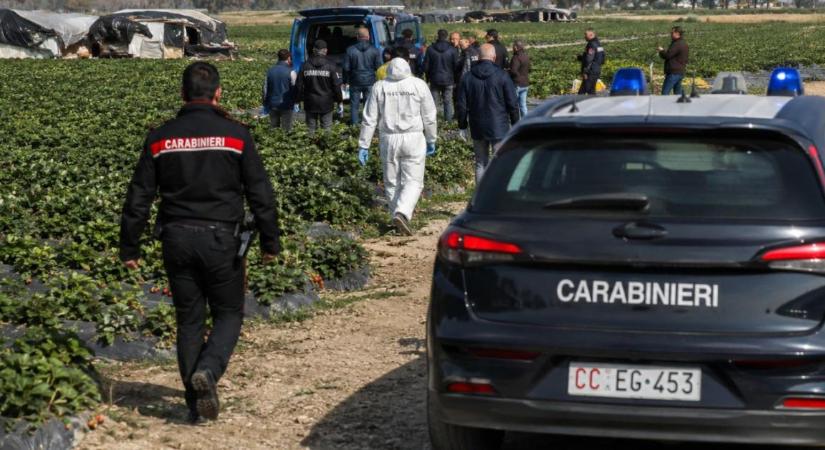 Caporalato – a modernkori rabszolgaság hálózata: Kik mozgatják a szálakat a dél-olasz szántókon?