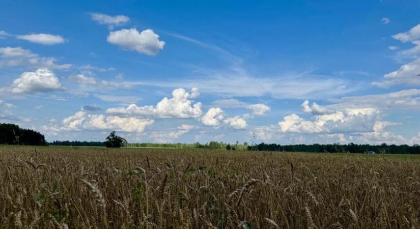 A szántóföldek átlagára Szerbiában 9583 euró volt hektáronként