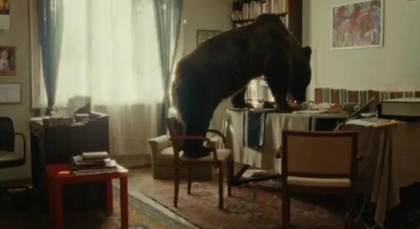 A medvévé változó lakótelepi kamasz története lett a legjobb rövidfilm a Friss Húson