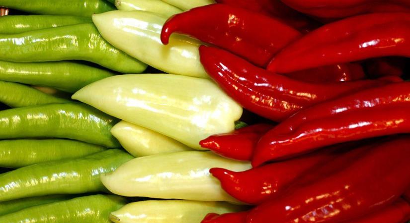 Ezeket a növényeket nem érdemes a paprika mellé ültetni - a termés is visszaeshet