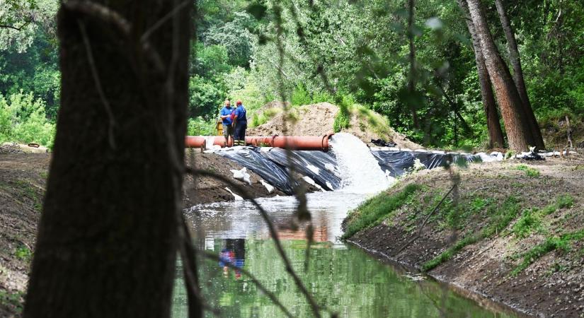 Oxigénhiány vagy megmenekülés? Minden, amit a jászkunsági holtágak vízpótlásáról tudni kell – videóval