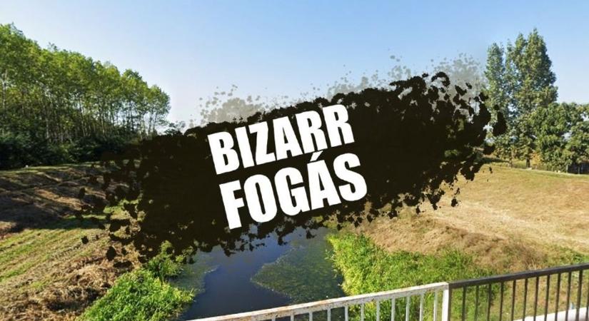 Furcsa látvány! Bizarr külsejű szörnyeteget akasztott egy szabolcsi horgász (fotóval)