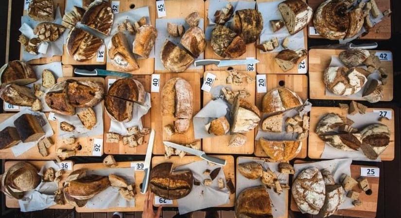 Otthonsütőknek hirdetnek kenyérversenyt a pannonhalmi Art Pikniken