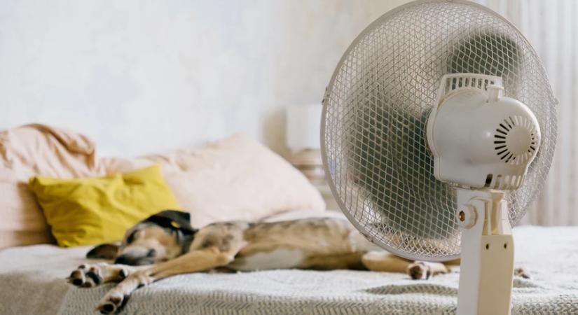 Hálószoba hűtése ventilátor nélkül: ez az egyszerű trükk segíthet