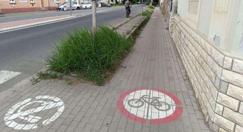 Veszélyes útszakasz Makón, a biciklisek biztonságáért emelt szót a helyi lakos