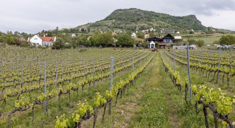 Mulasson hajnalig: feléled a Szent György-hegy, fesztiválszezon indul a Várkert Bazárban