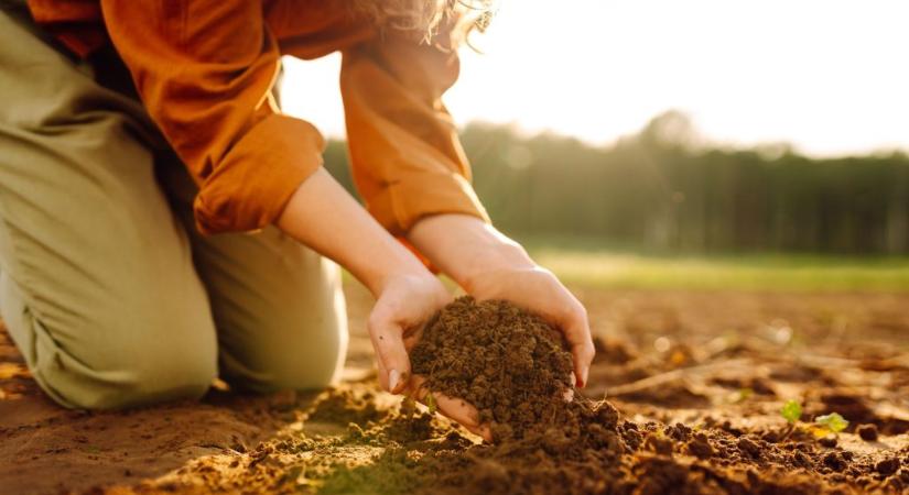EFOTT-bérlet és európai döntő vár a legjobb ötletekre – indul a SOILATHON innovációs verseny