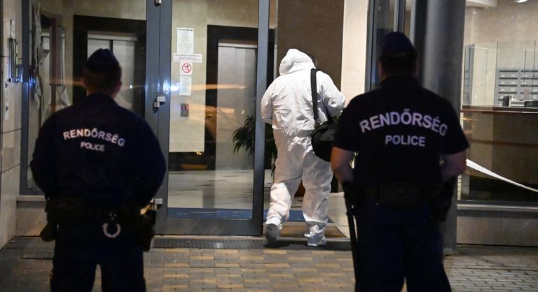 Elmeorvos vizsgálhatja a Marina parti gyilkossággal vádolt nő állapotát