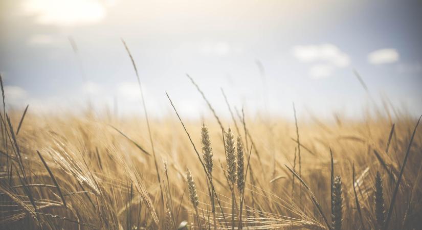 Februárban bővült az EU agrár-élelmiszeripari külkereskedelmi többlete