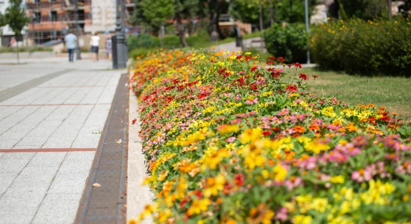 Visit Hungary: indul a Virágos Magyarország verseny helyszíni zsűrizése