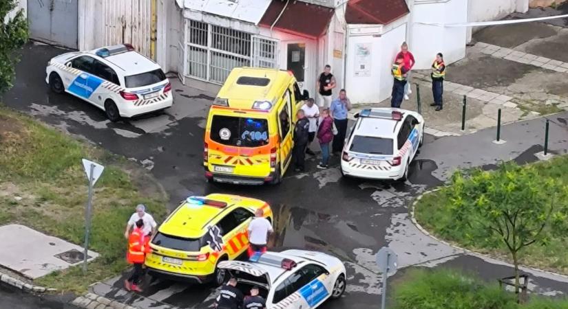 „Ő egy őskori, lakótelepi, kobold”- mindenki ismeri Kabost, a Havanna-lakótelepen megkéselt áldozatot