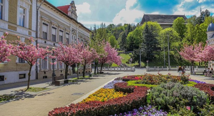 Országjárásra indul a zsűri a Virágos Magyarország versenyén