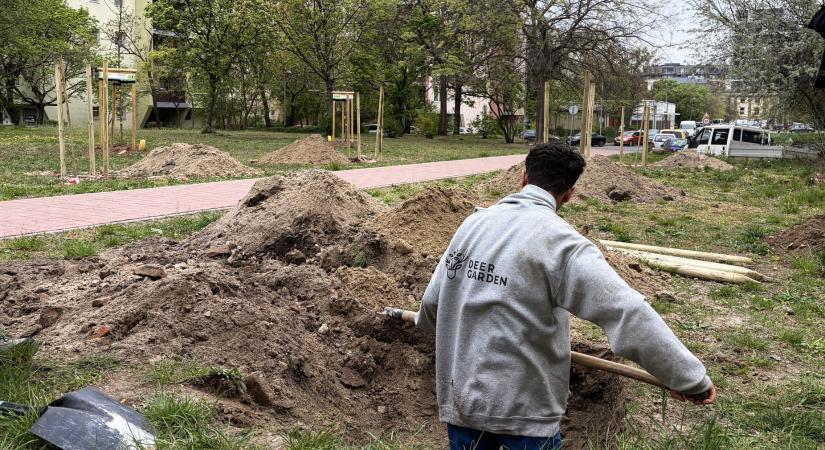 Kertészeti maffia: a kormányváltás és a fideszesek kipontozódása nyitott utat a felszámolásnak