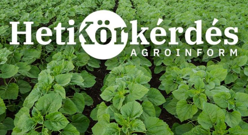 Sürgős beavatkozások a szántóföldeken – mit tehetünk évjárati stresszhelyzetben? – Heti Körkérdés