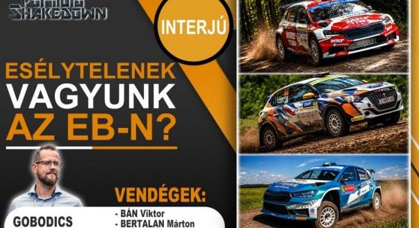 Shakedown: Miért esélytelenek a magyarok az Eb-n?