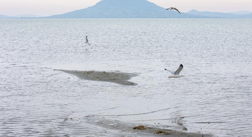 Váratlan földrész bukkant fel a Balatonnál