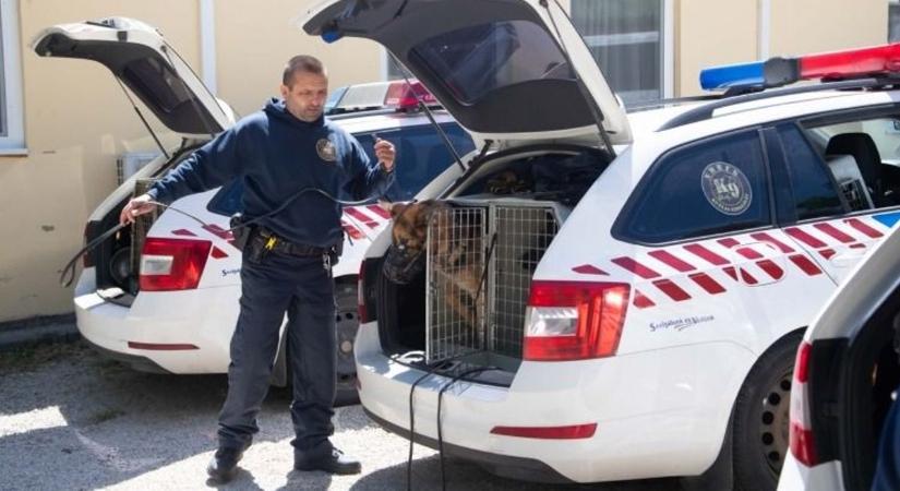 Éles helyzeteket modelleztek Csopakon: komoly kihívások várták a szolgálati kutyákat (fotók)