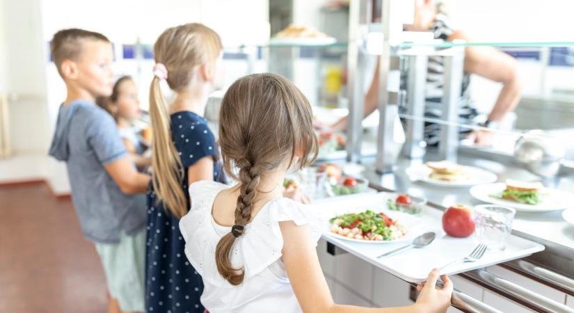 Csótányt találtak a gyerekek ebédjében: óriási a felháborodás